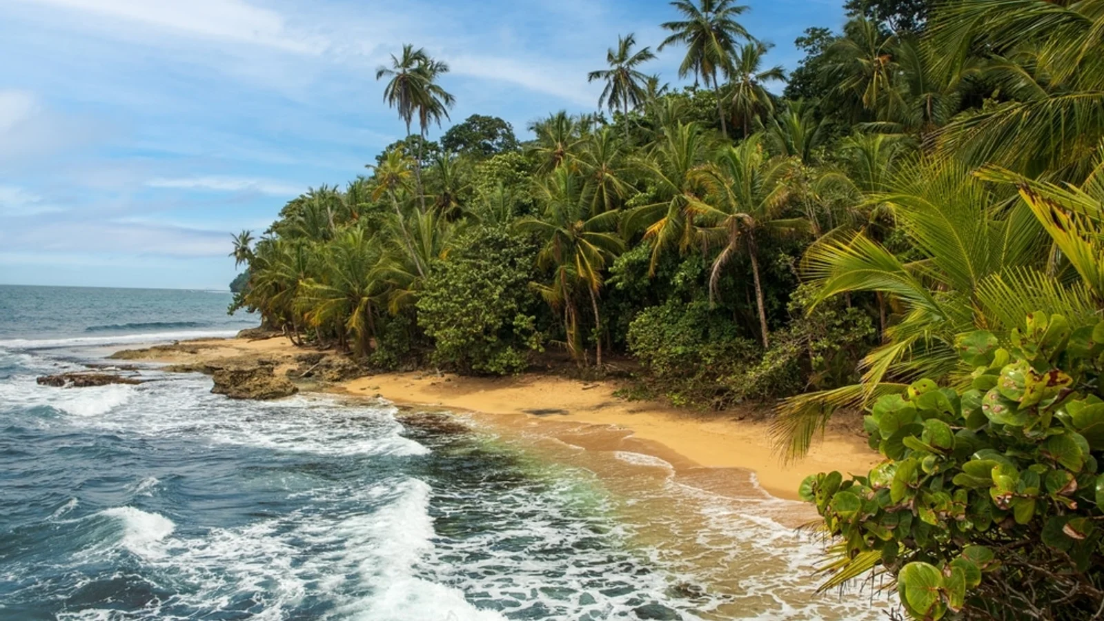 Shared Shuttle: San Jose to Punta Uva / Manzanillo
