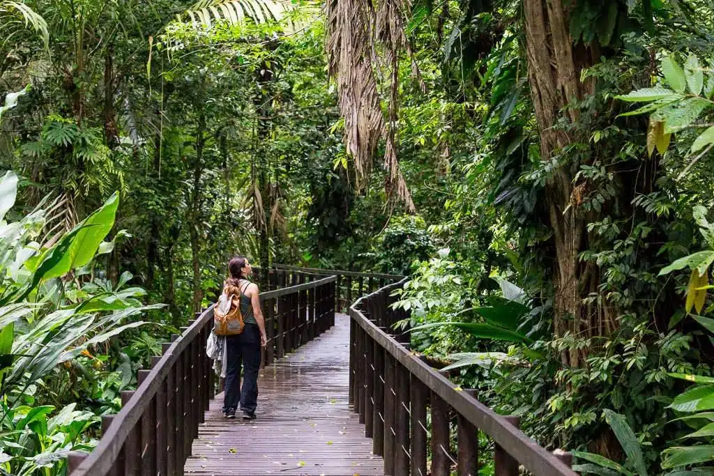 Passeig guiat per la natura al parc nacional de Cahuita