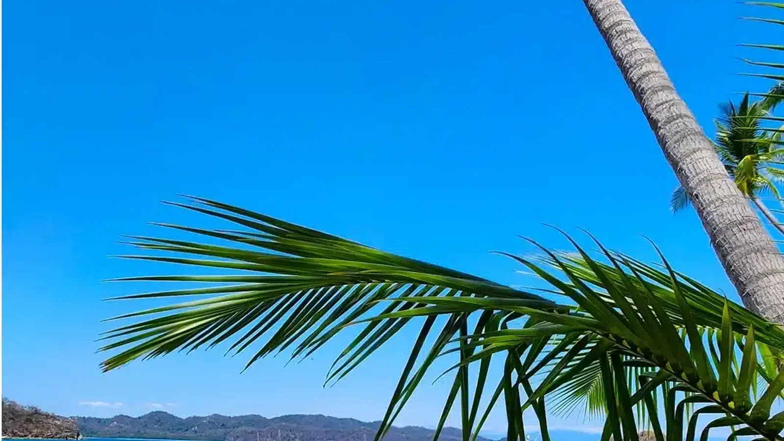 Tortuga Island Tour