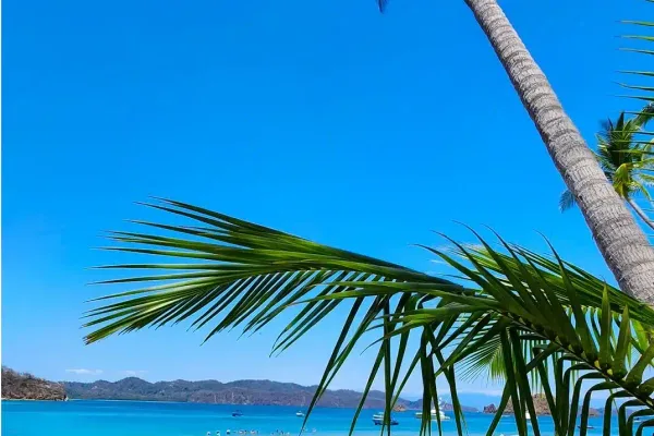Tour a Isla Tortuga