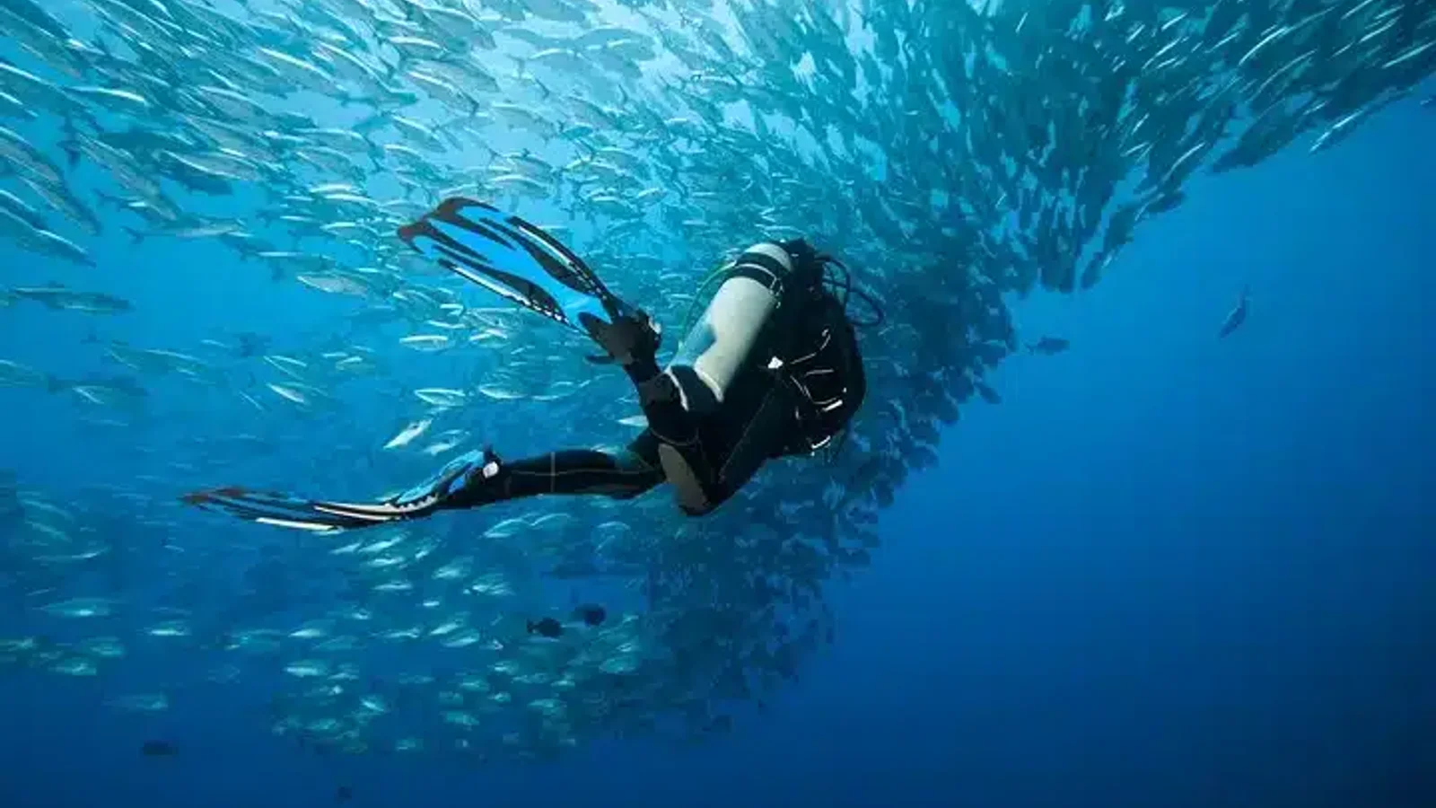 Submarinisme amb 2 immersions a Isla del Caño