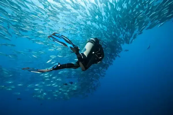 Buceo con 2 tanques en la Isla del Caño