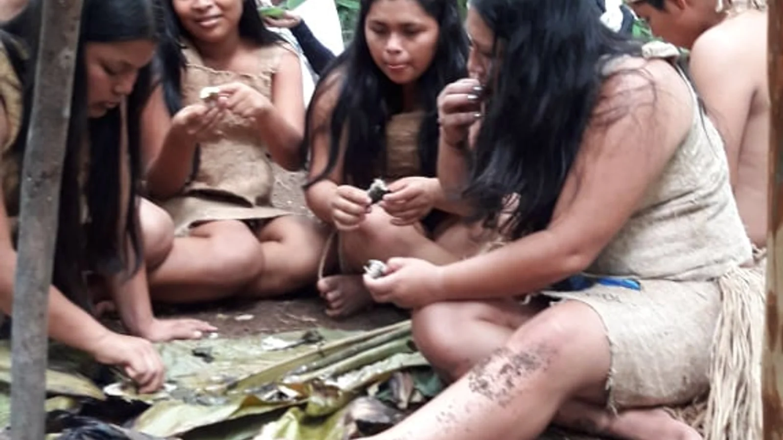 Tour tradicional por la aldea Maleku