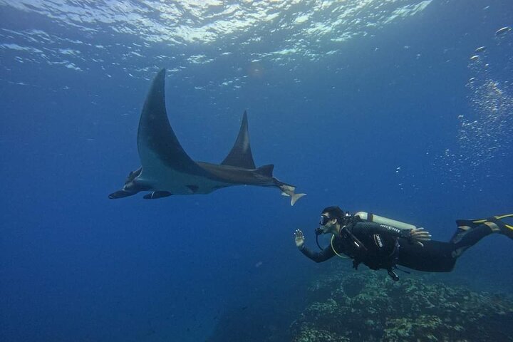 Submarinisme amb 2 immersions a Isla del Caño