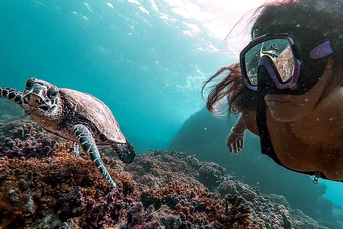 Aventura de snorkel a l'illa del Caño