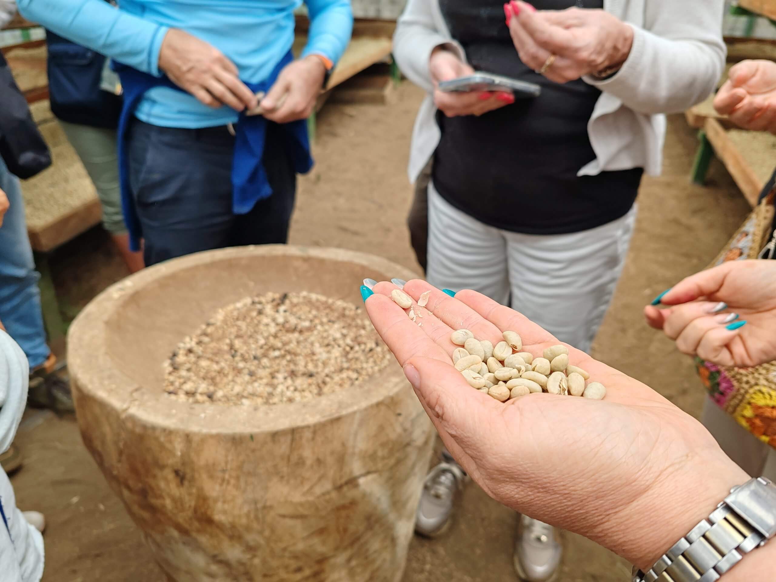Tour de café en Monteverde