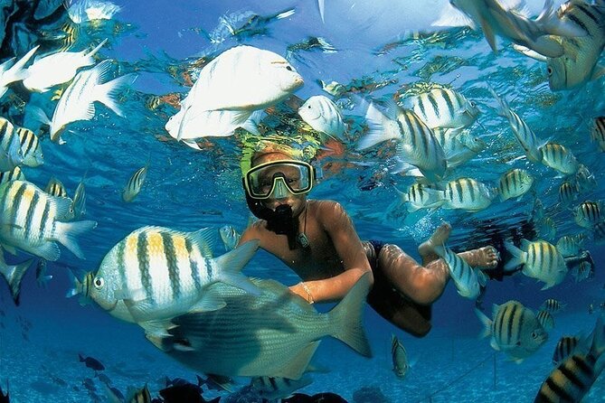 Tortuga Island Tour