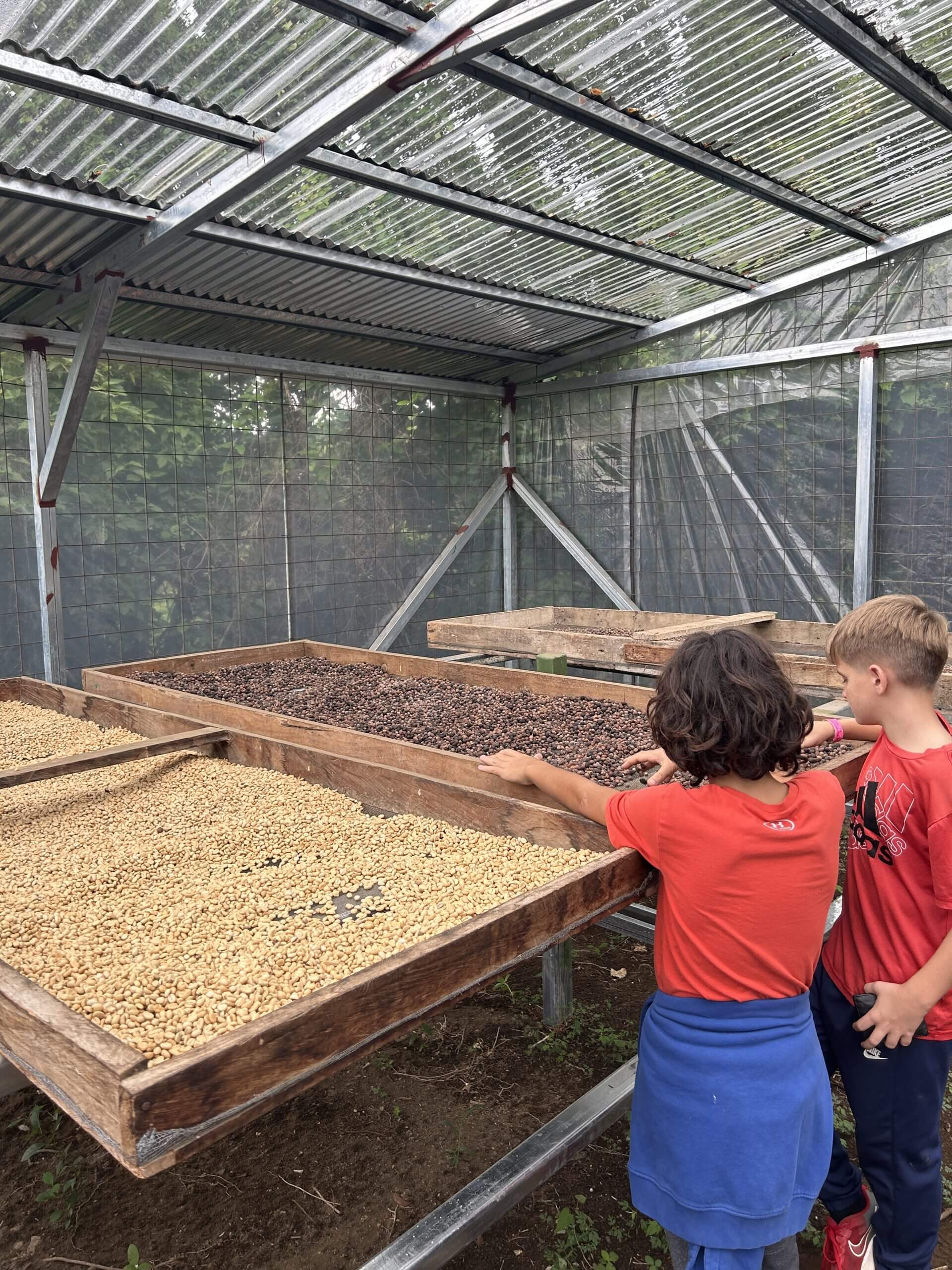 Tour de café en Monteverde