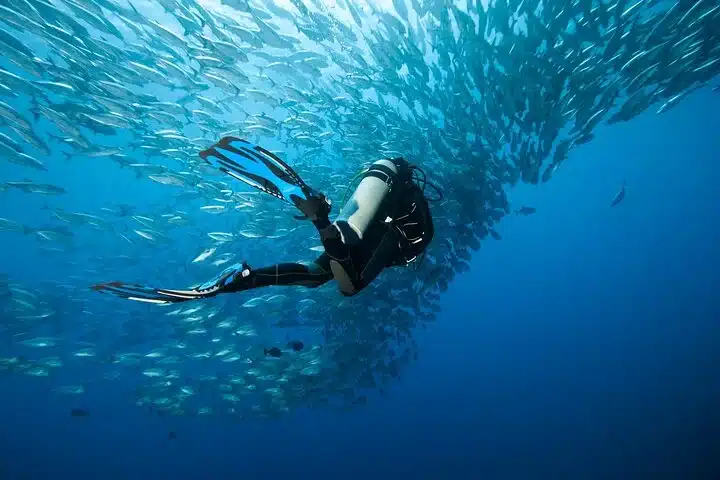 Submarinisme amb 2 immersions a Isla del Caño