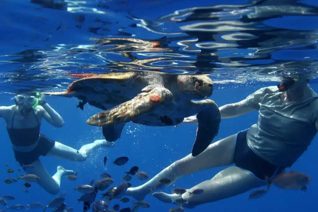 Aventura de snorkel a l'illa del Caño