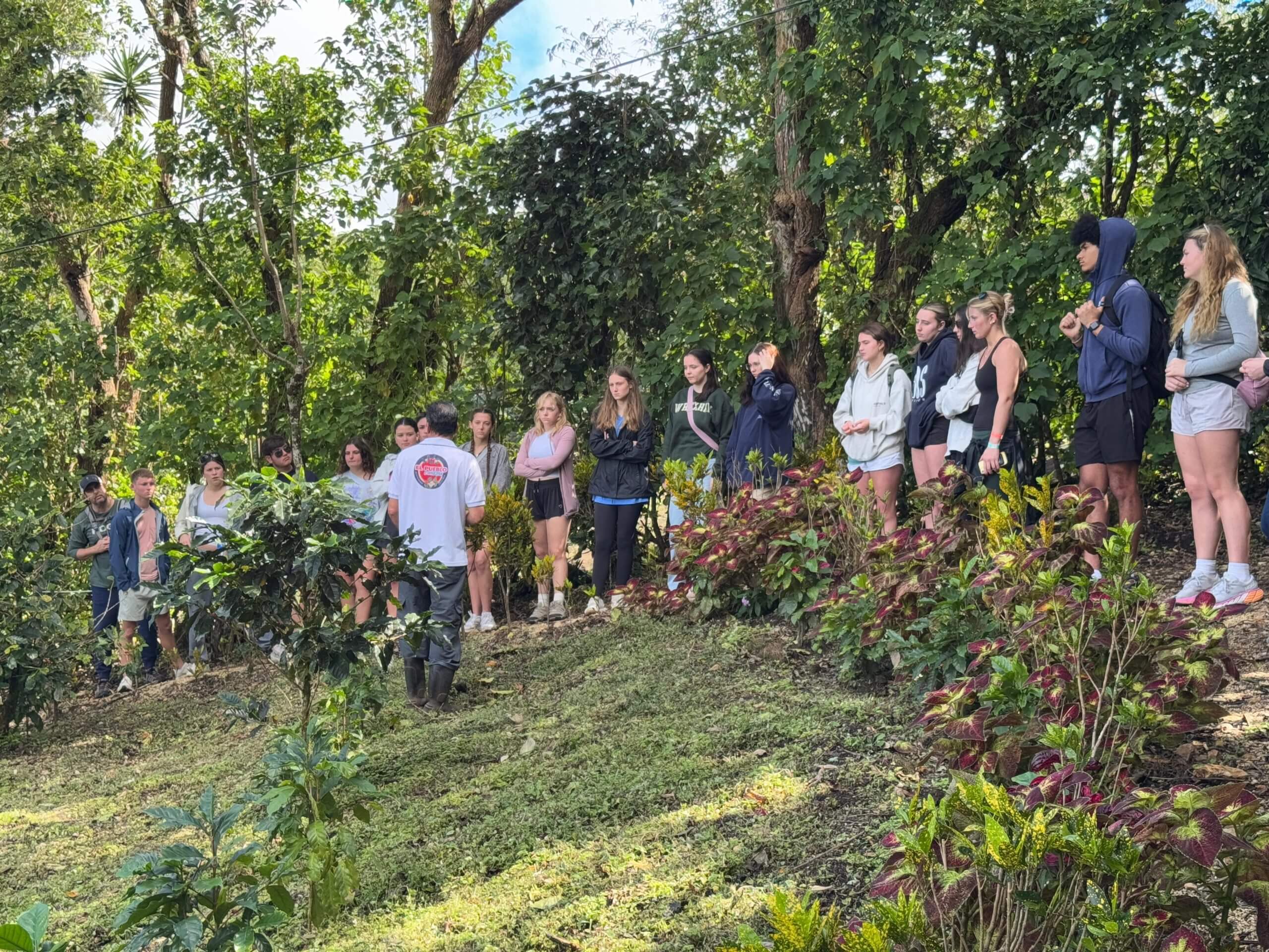 Tour de café en Monteverde