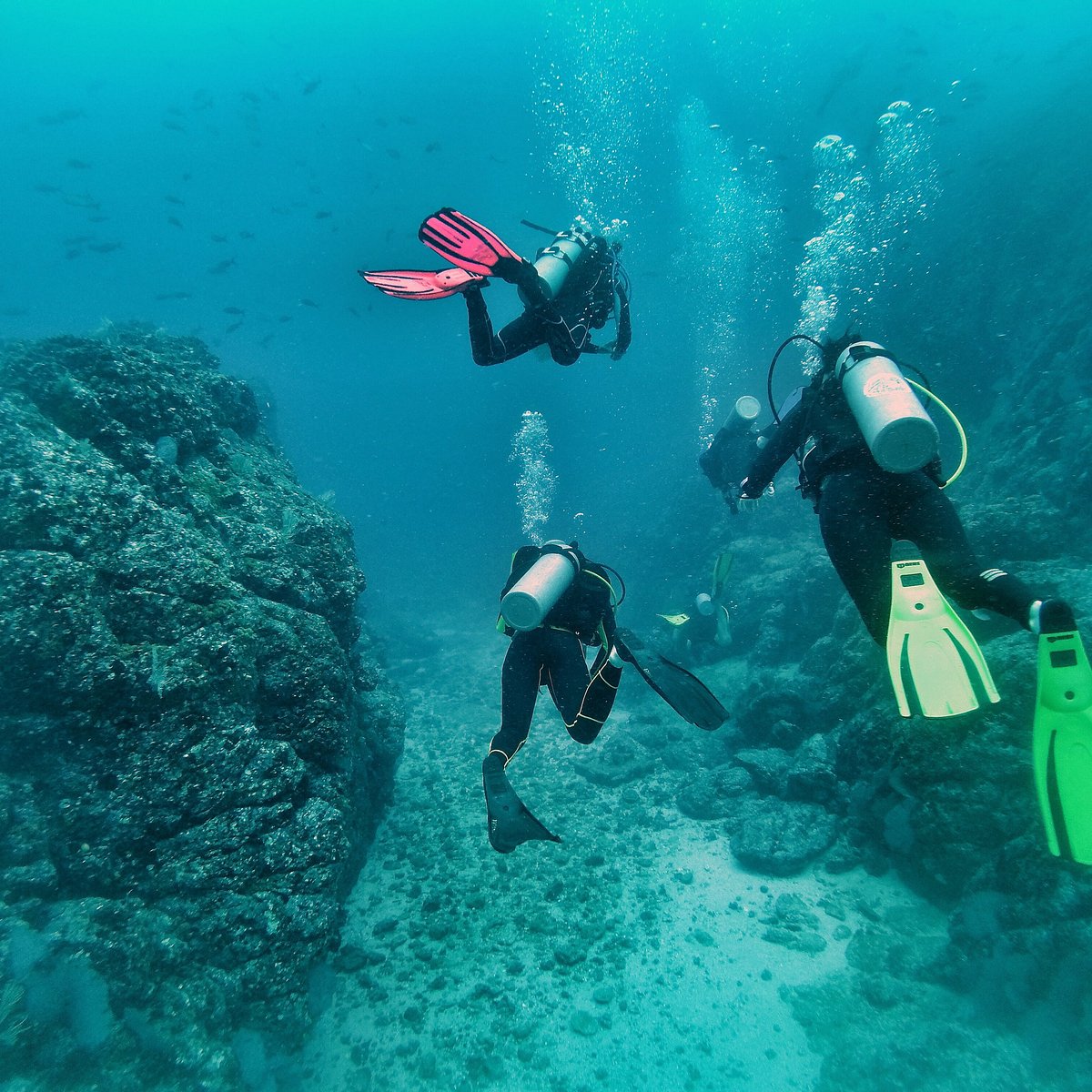 Submarinisme amb 2 immersions a Isla del Caño