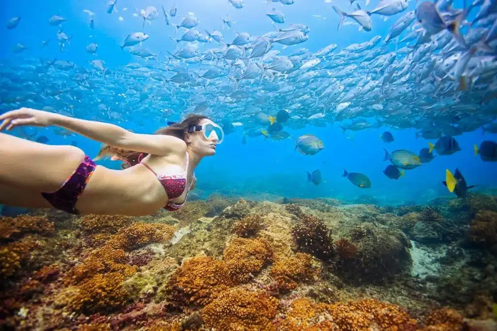 Aventura de snorkel a l'illa del Caño