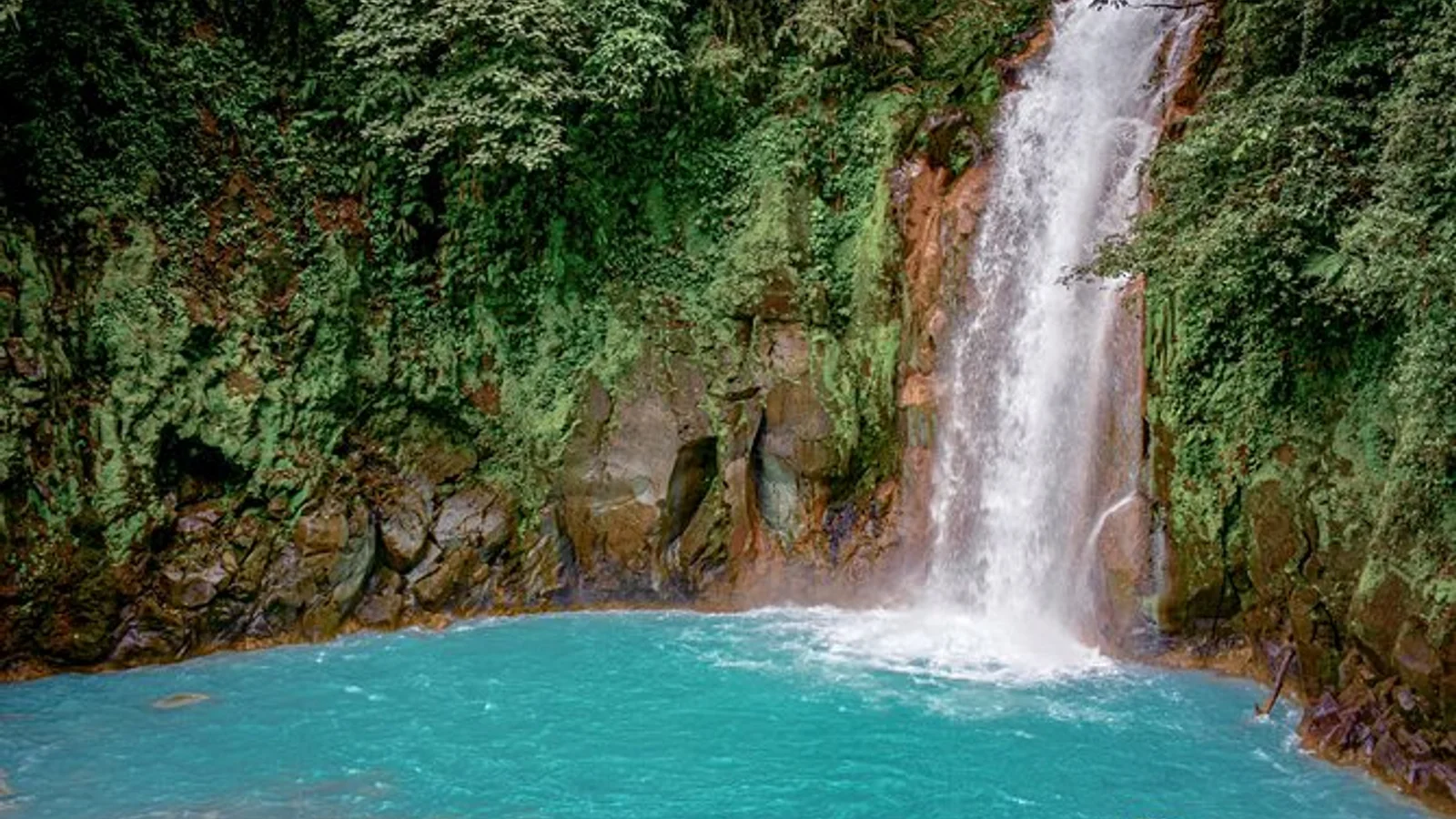 Private Transfer: Arenal / La Fortuna to Rio Celeste