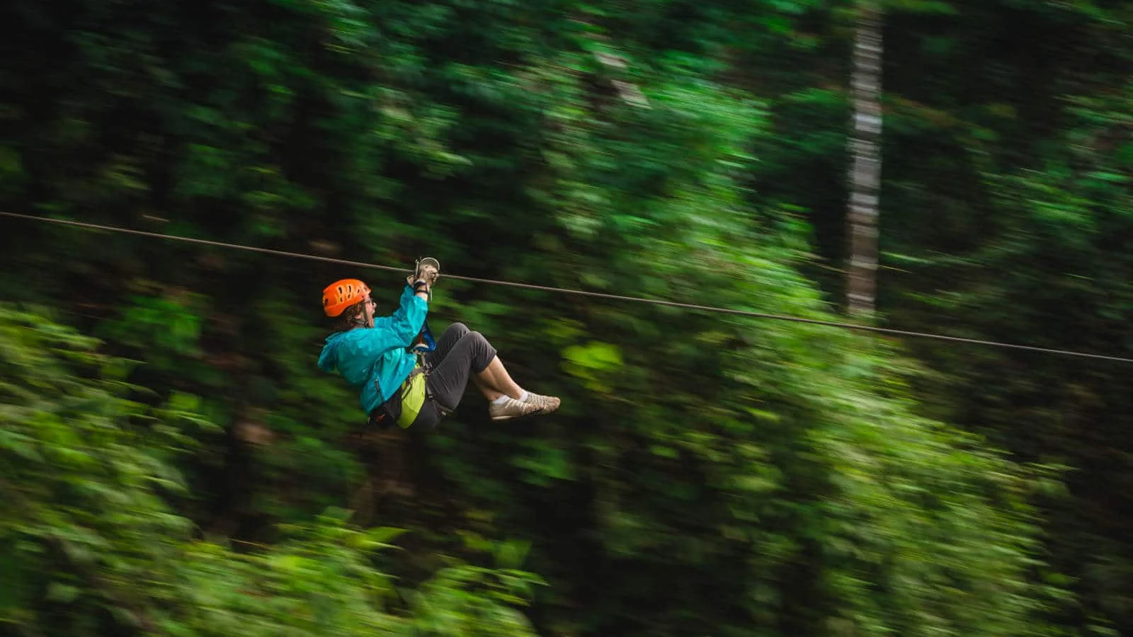 Canopy y tirolesa en Arenal