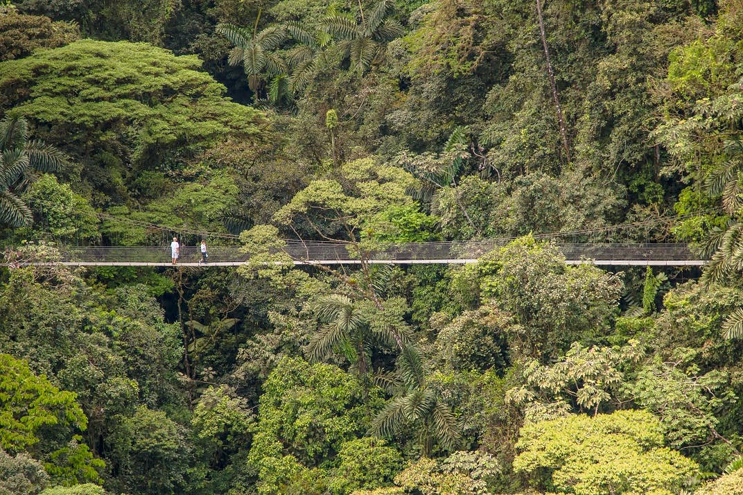 Puentes colgantes Mistico | Tour guiado
