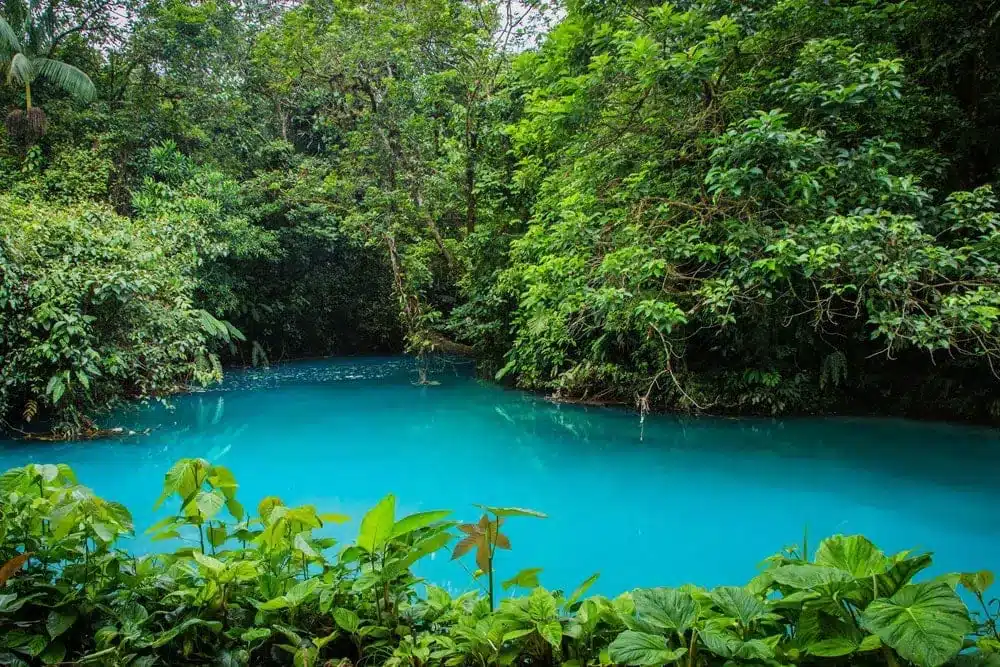 Caminata al Río Celeste
