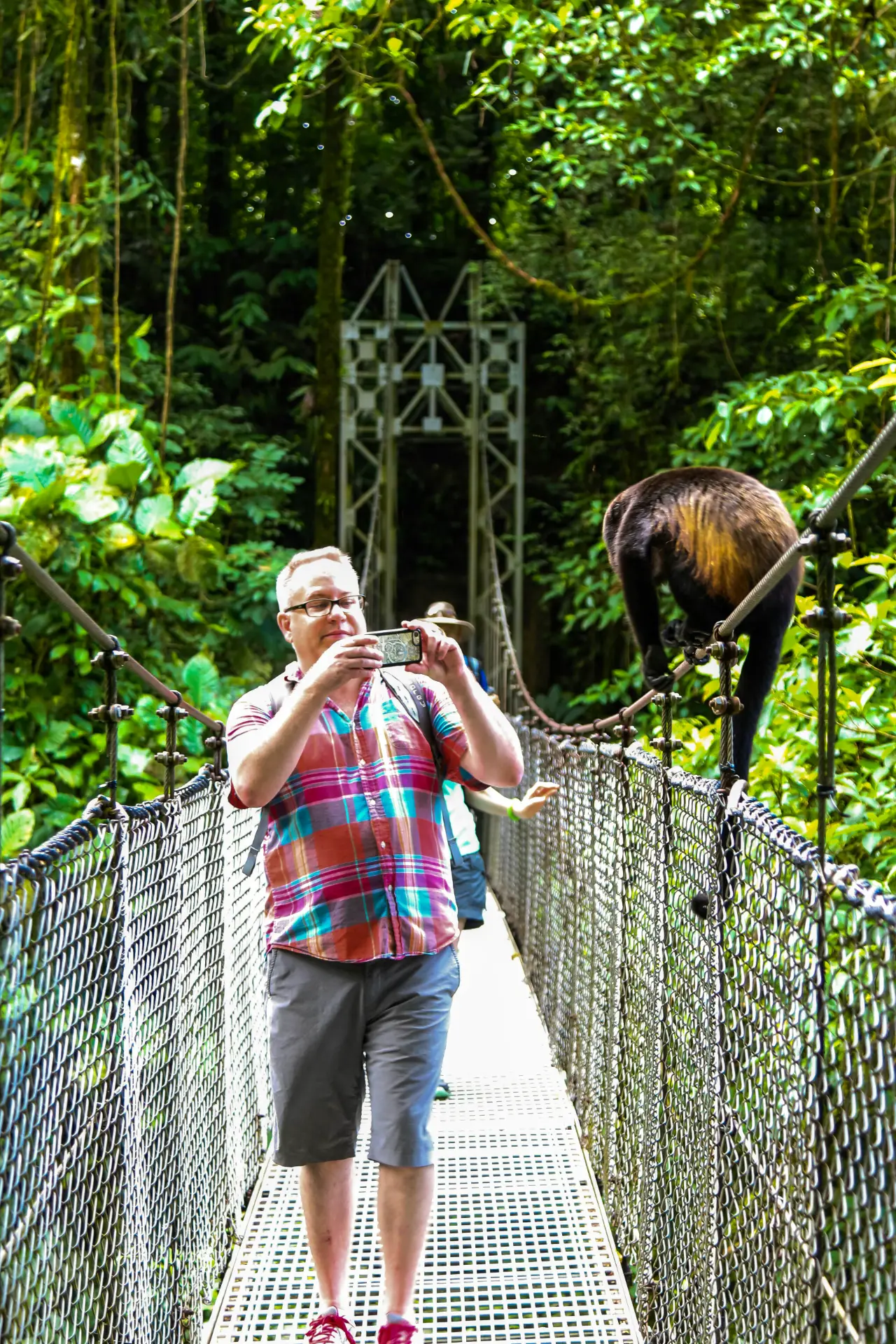 Puentes colgantes Mistico | Tour guiado