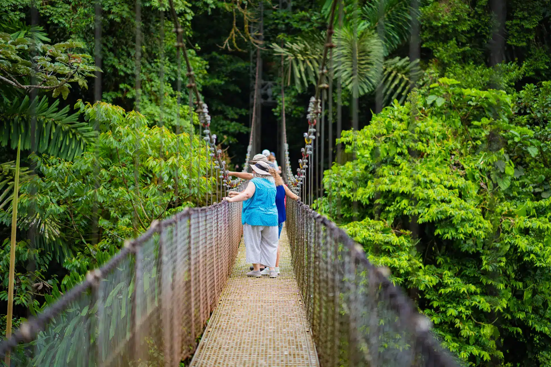 Puentes colgantes Mistico | Tour guiado