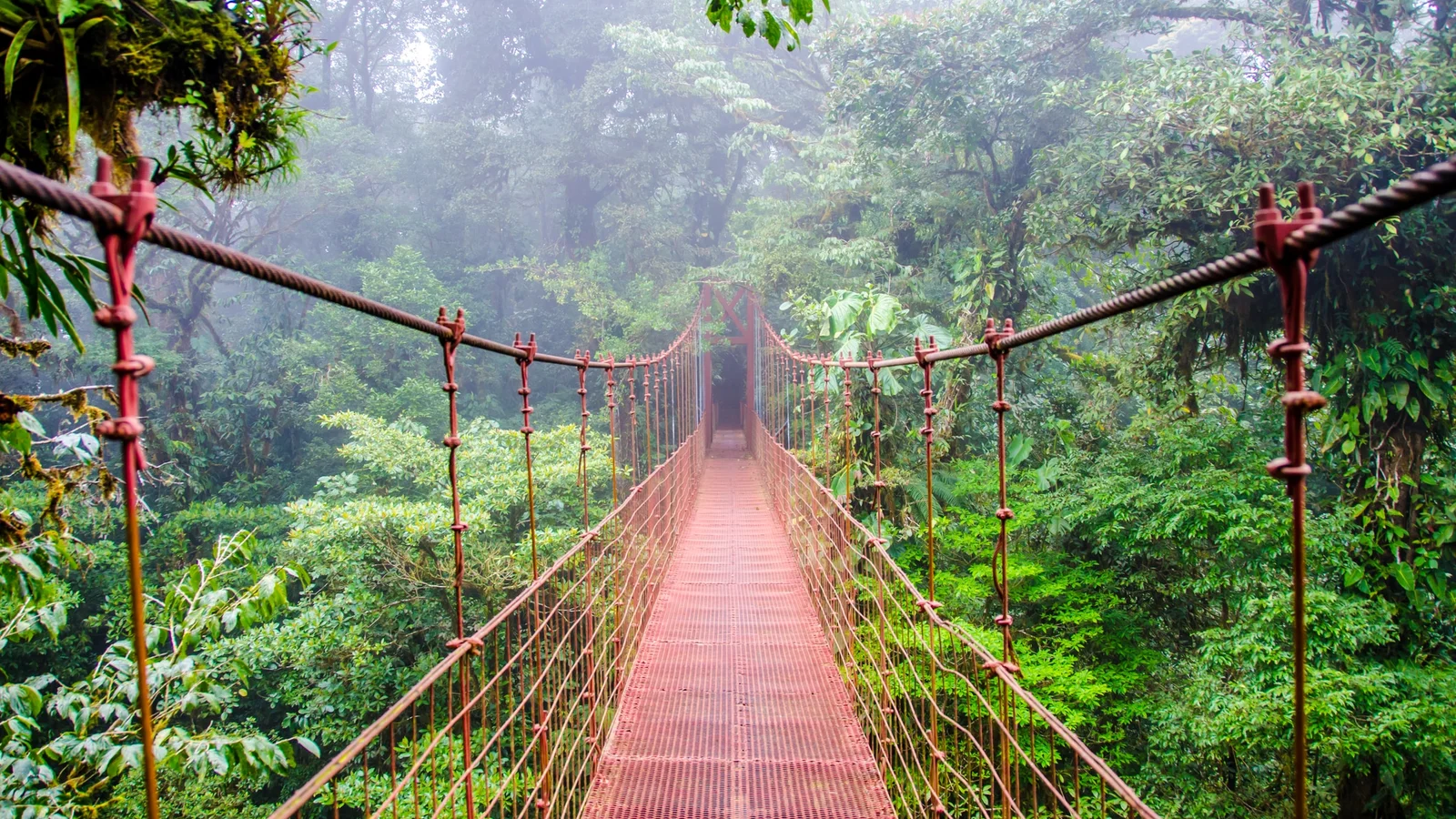 Shared Shuttle: San Jose Airport (SJO) to Monteverde
