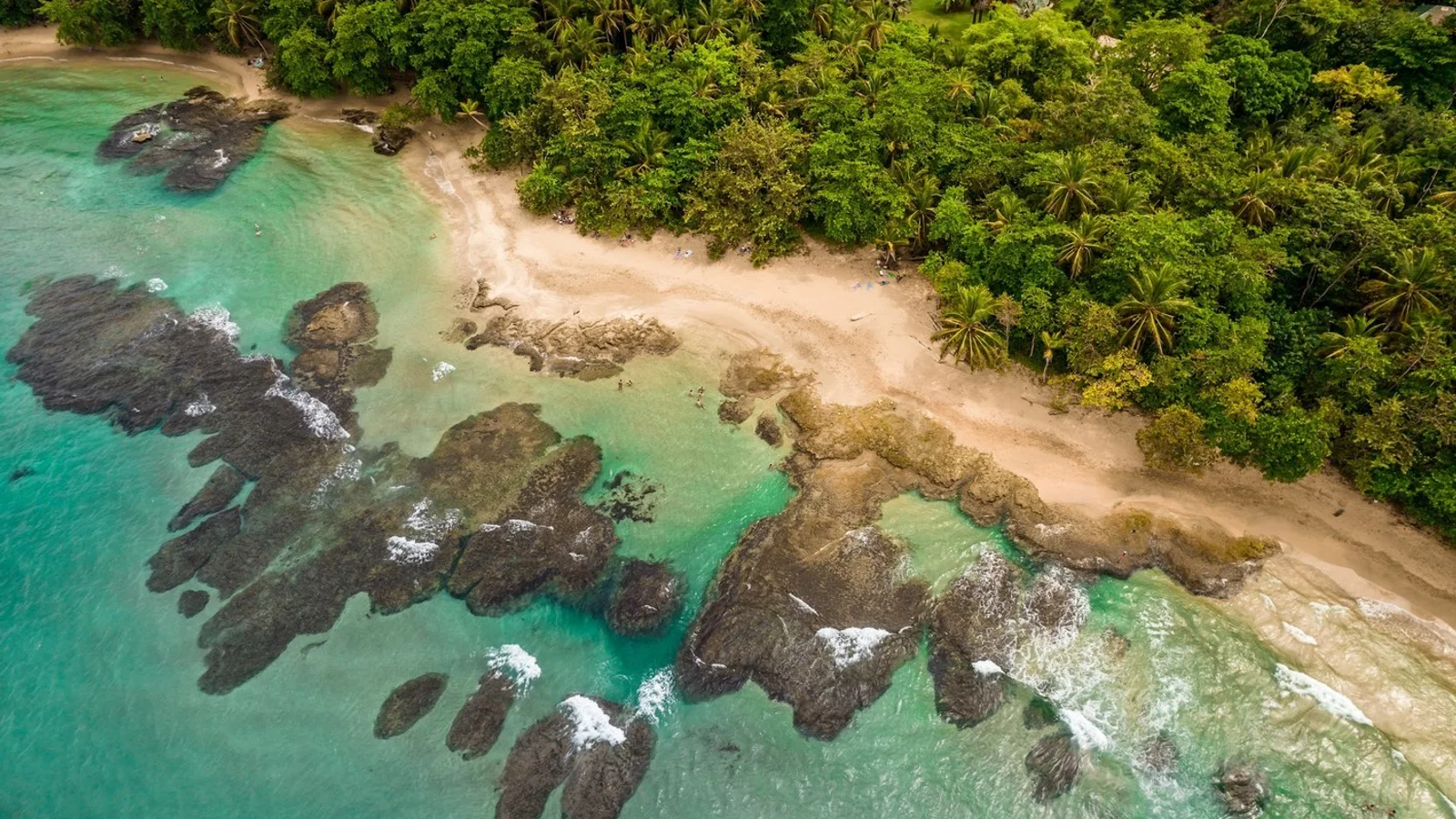 Shared Shuttle: Bocas del Toro to Puerto Viejo