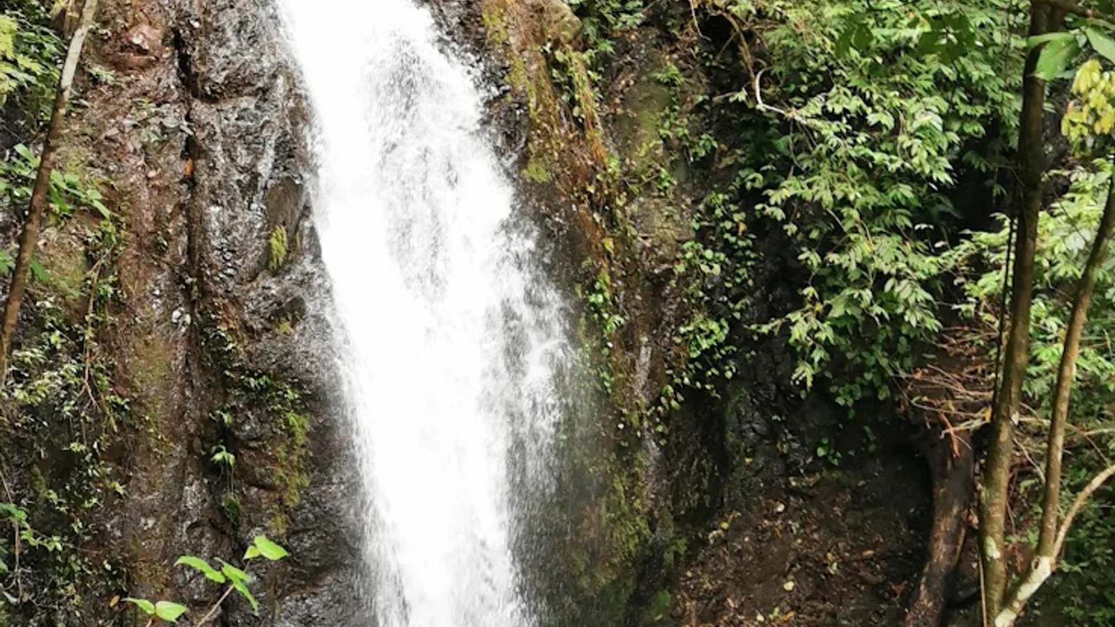Jacó