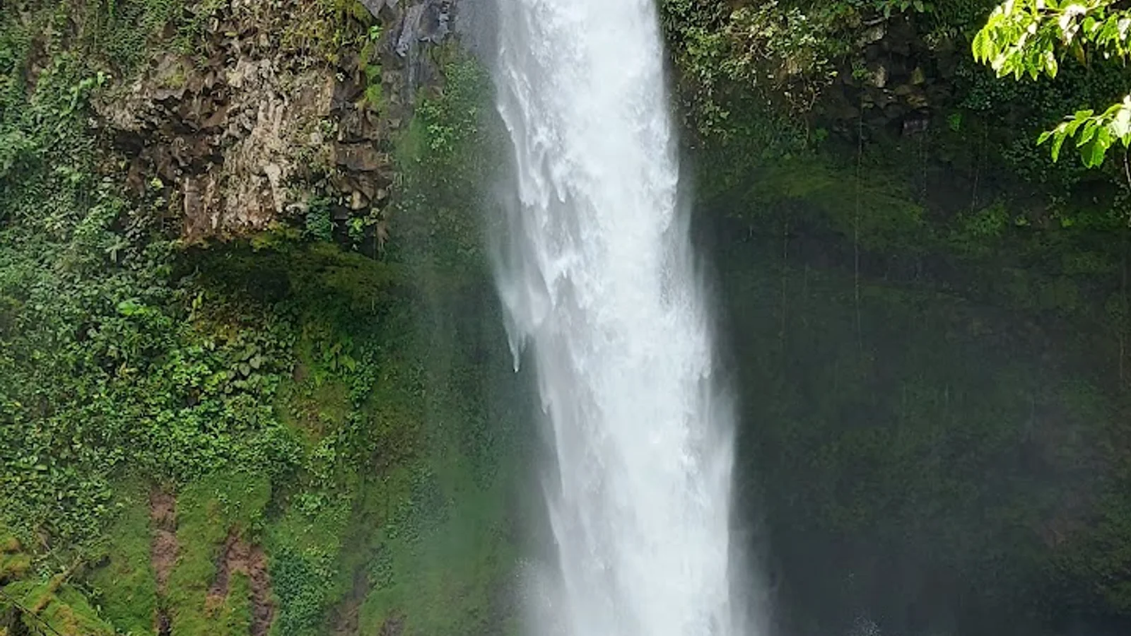Arenal