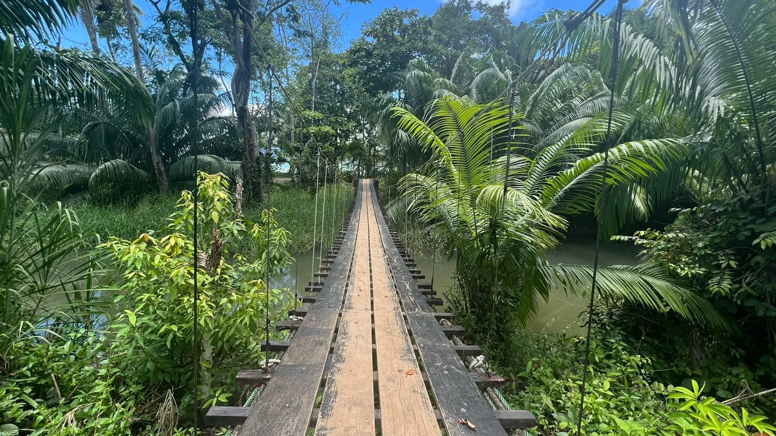 Bahia Drake