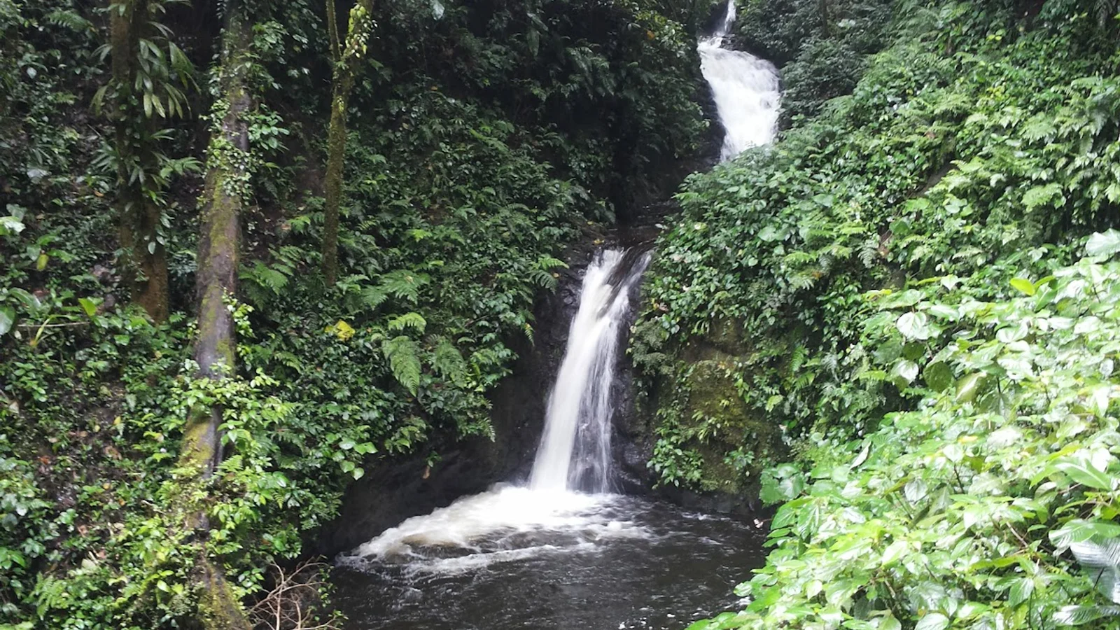 Monteverde