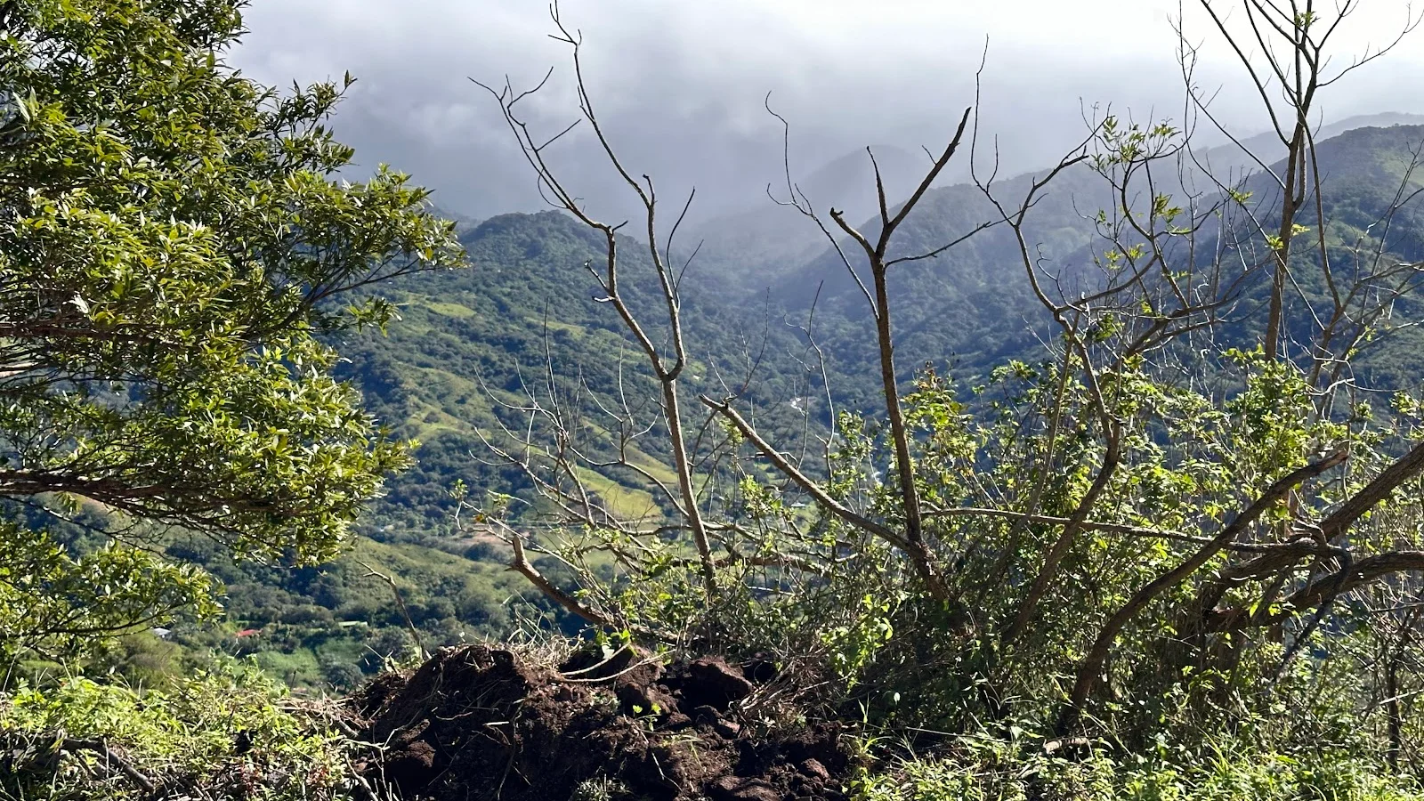 Monteverde
