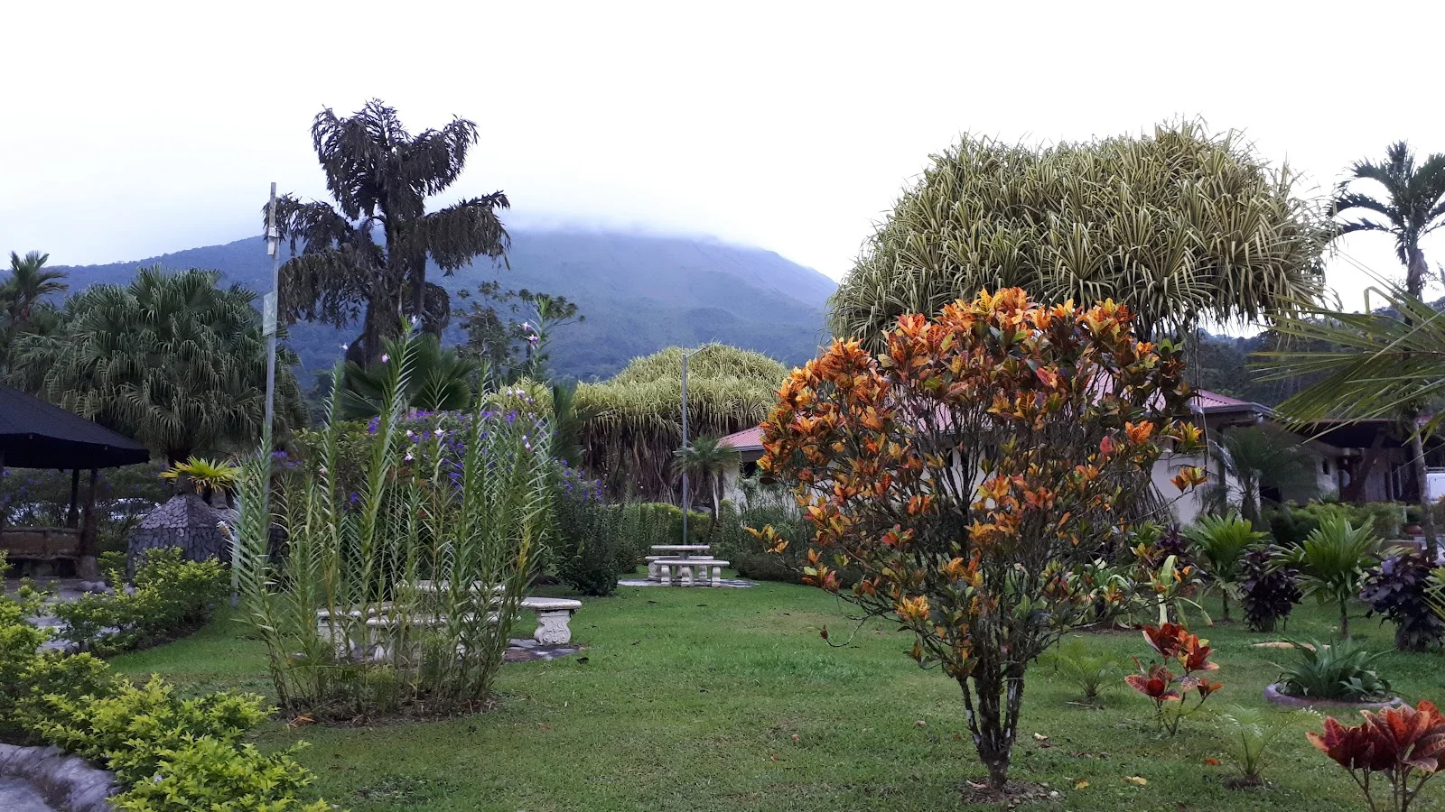 Arenal