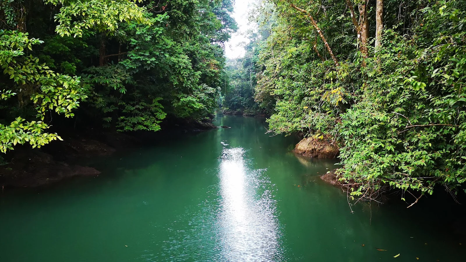 Bahia Drake