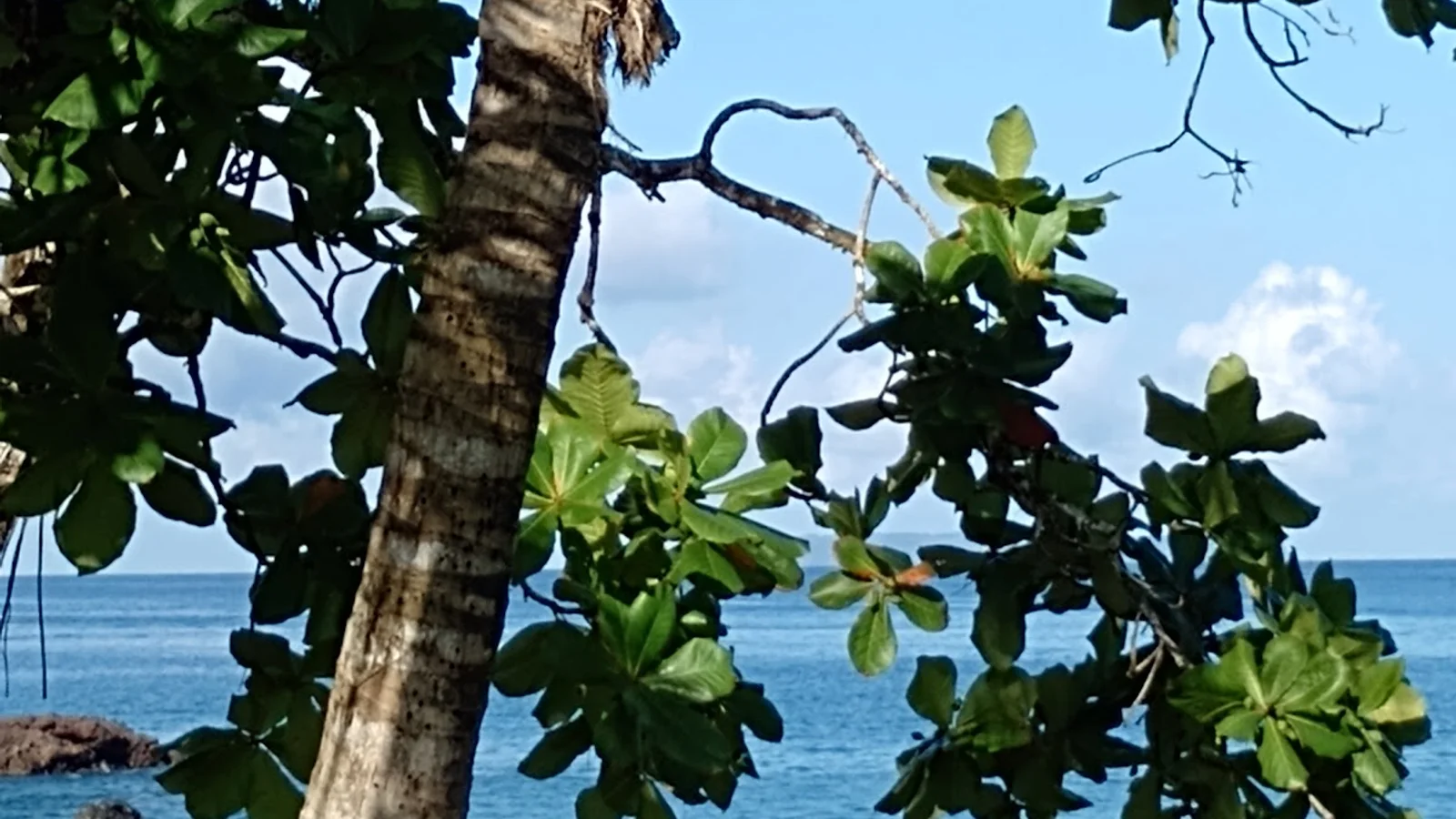 Bahia Drake