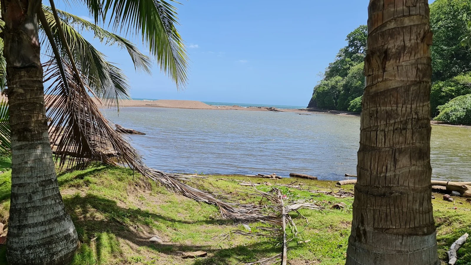 Jacó