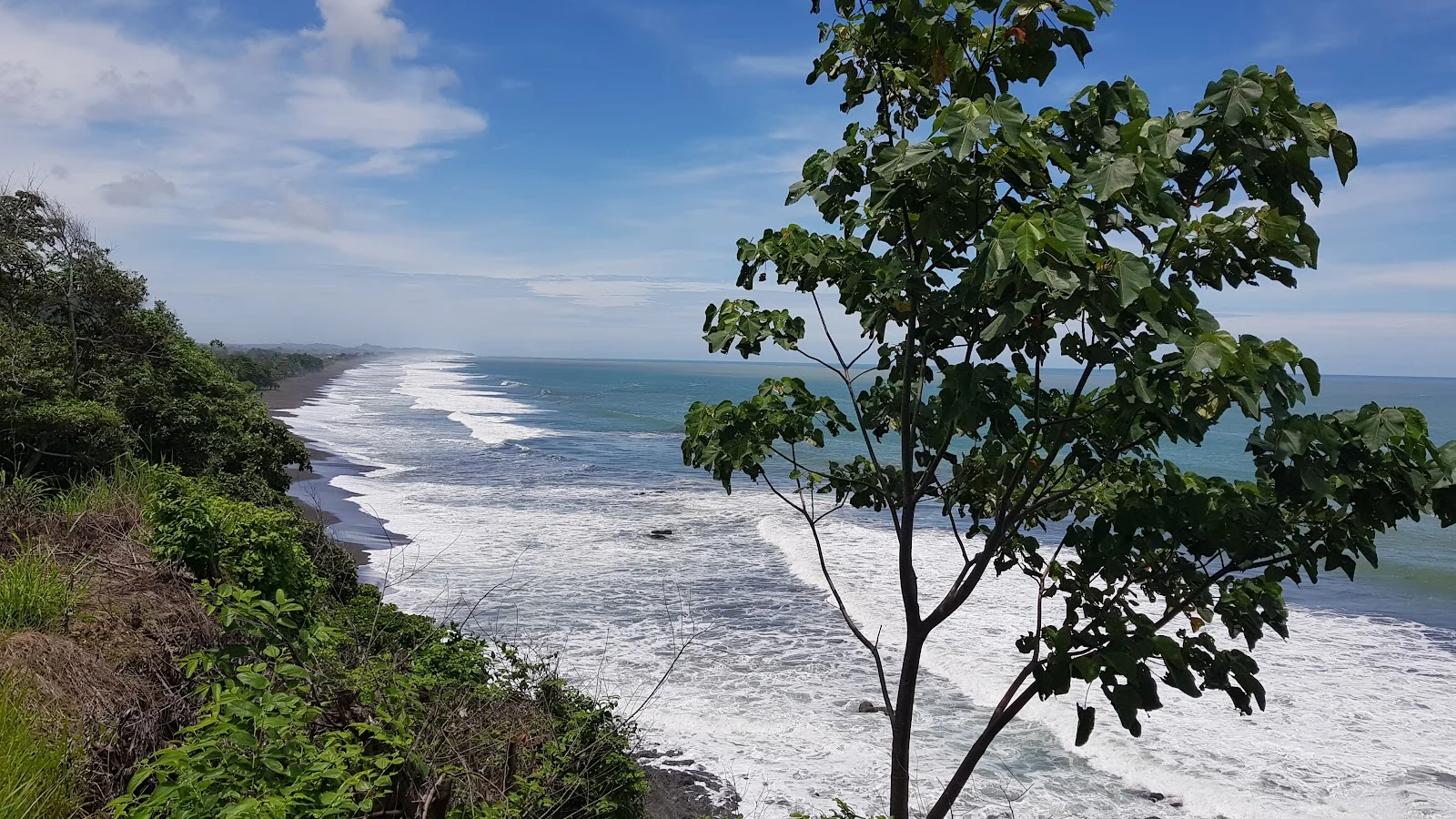 Jacó