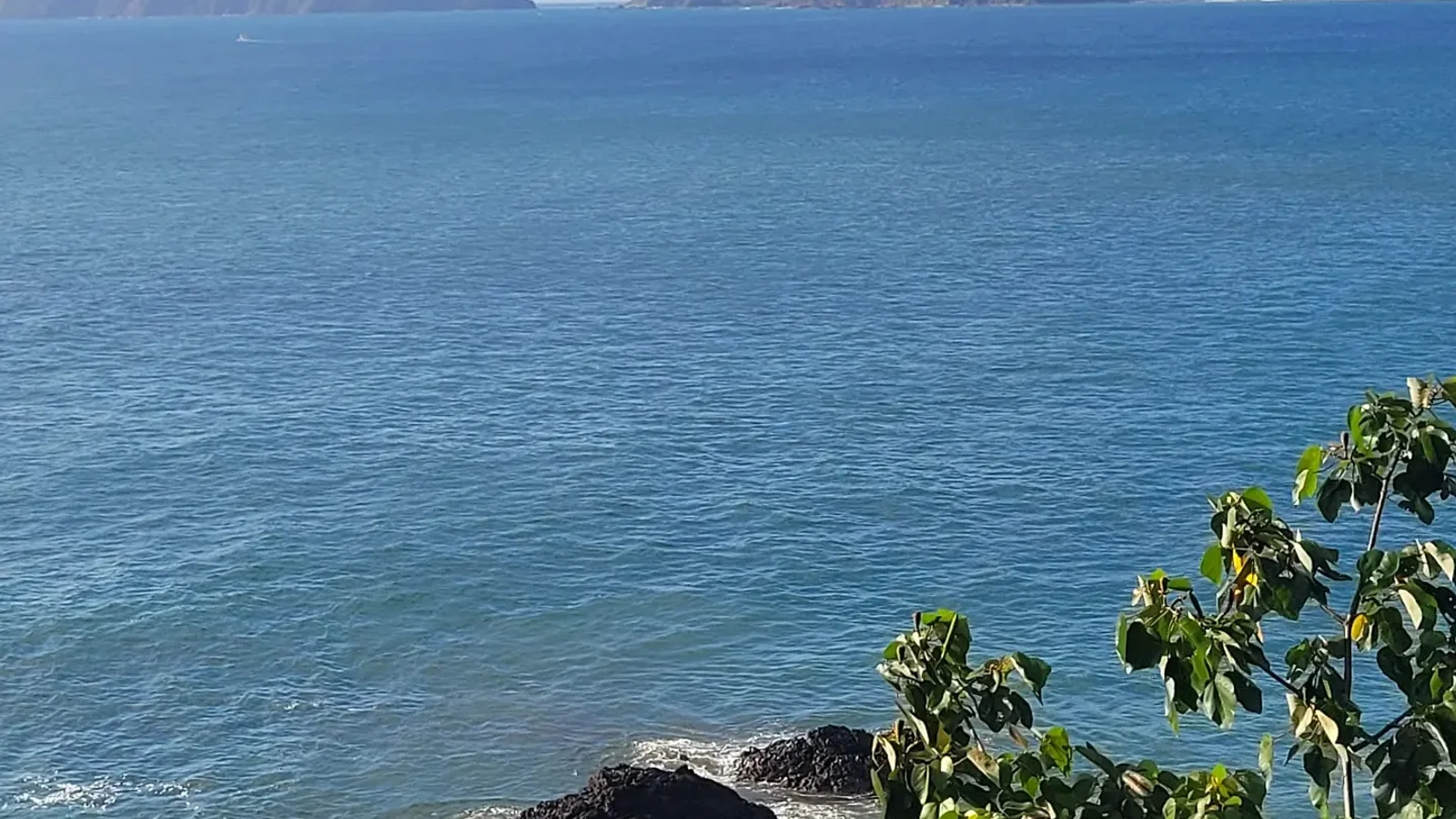 Jacó