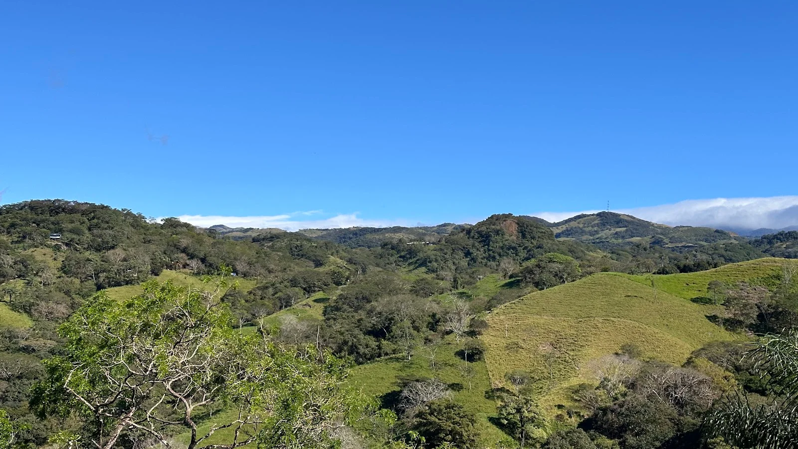 Monteverde