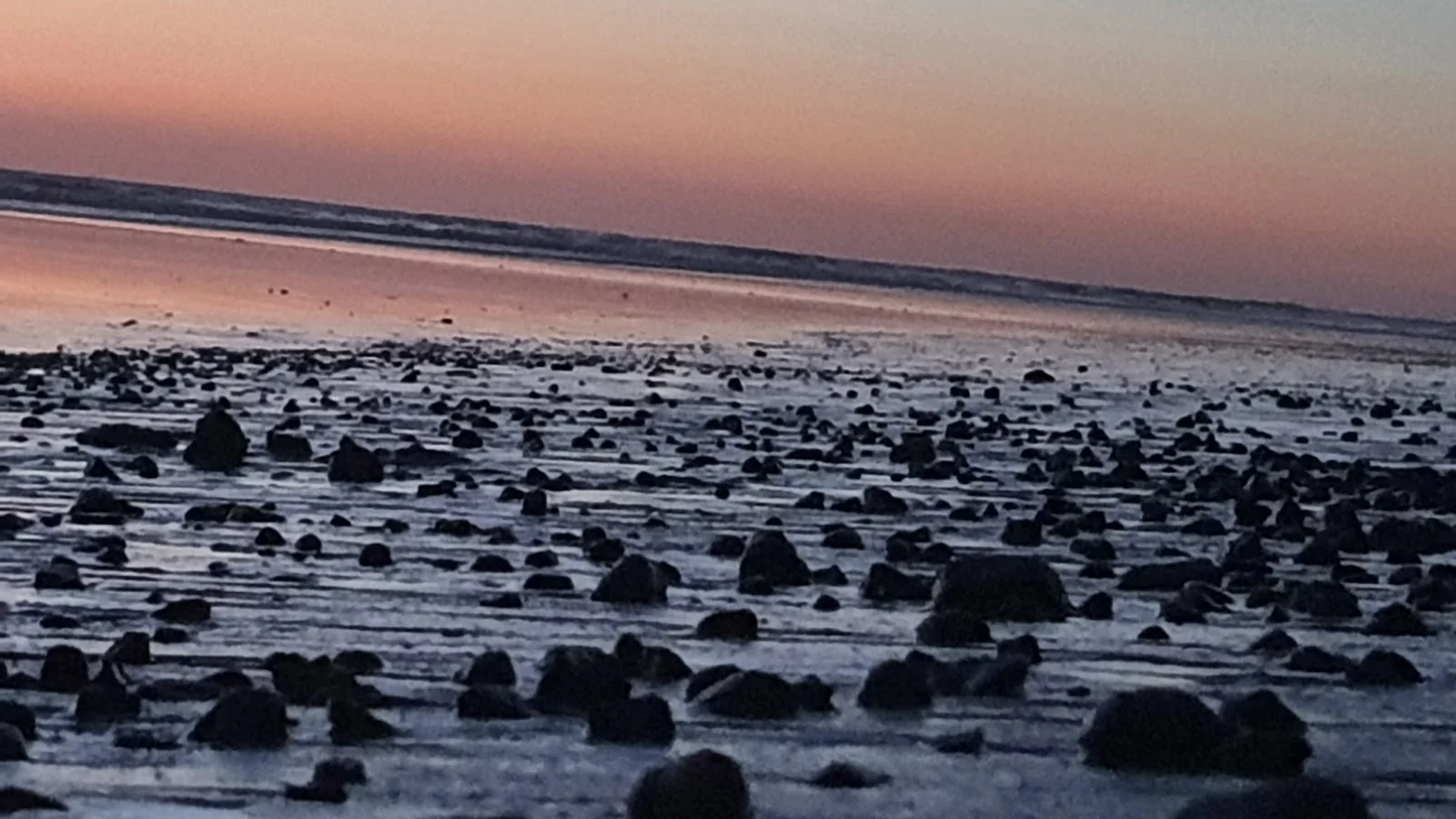 Santa Teresa