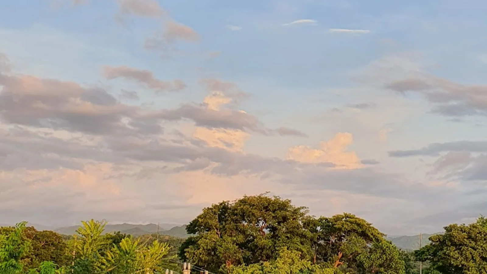 Tamarindo