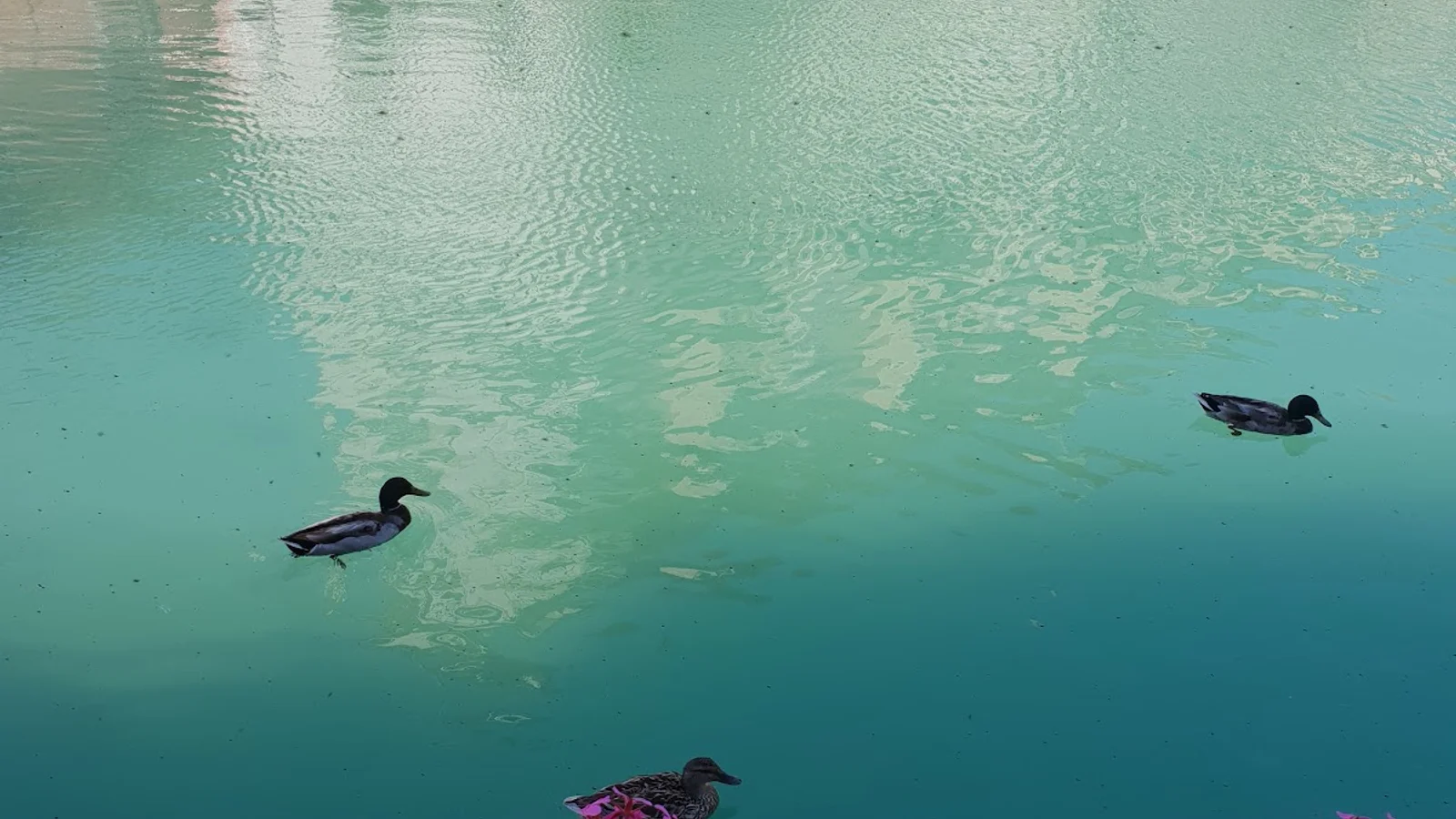 Annecy