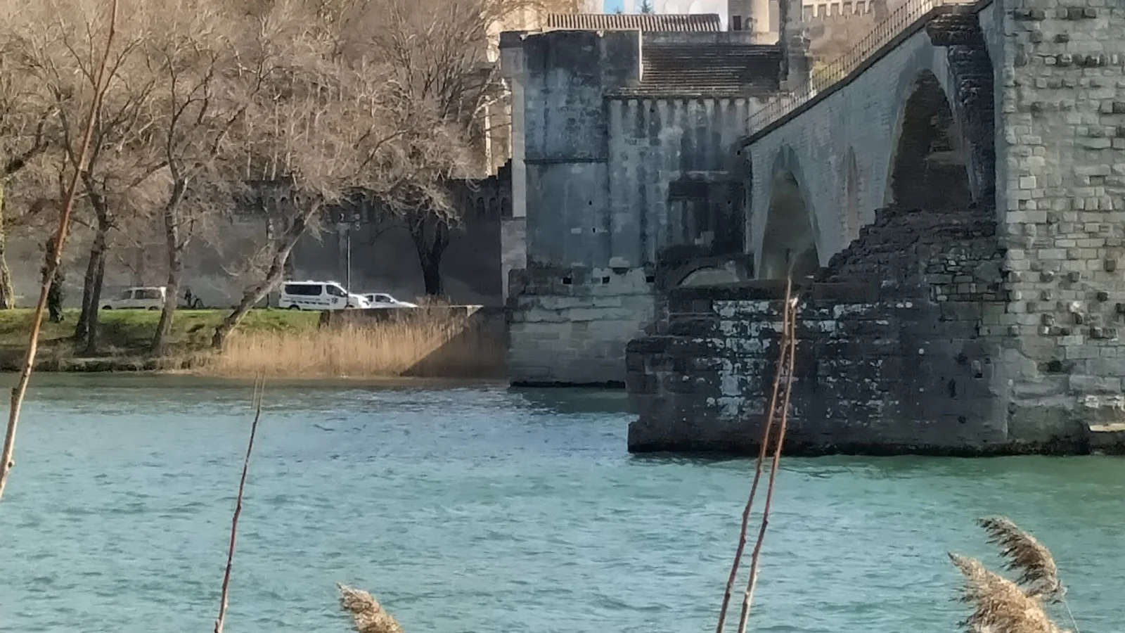 Avignon