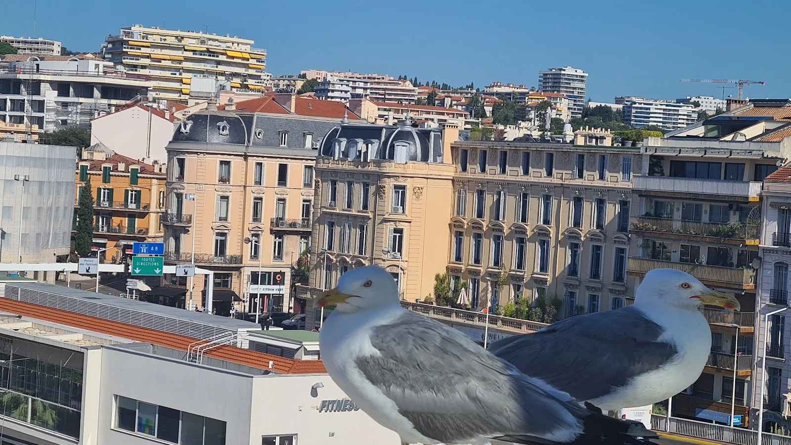 Cannes