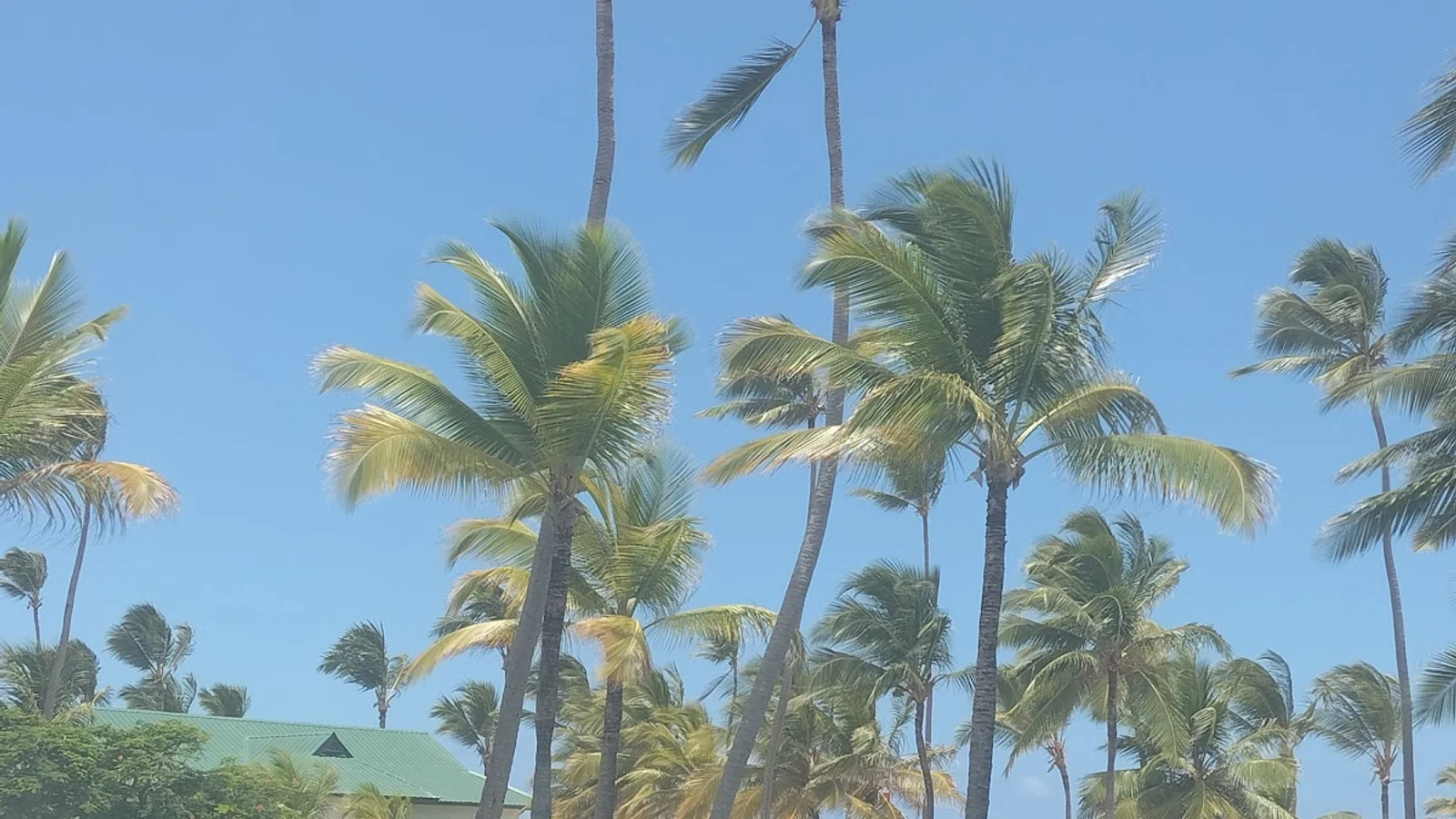 Punta Cana