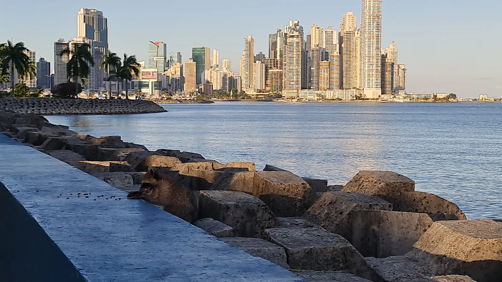 Ciutat de Panamà