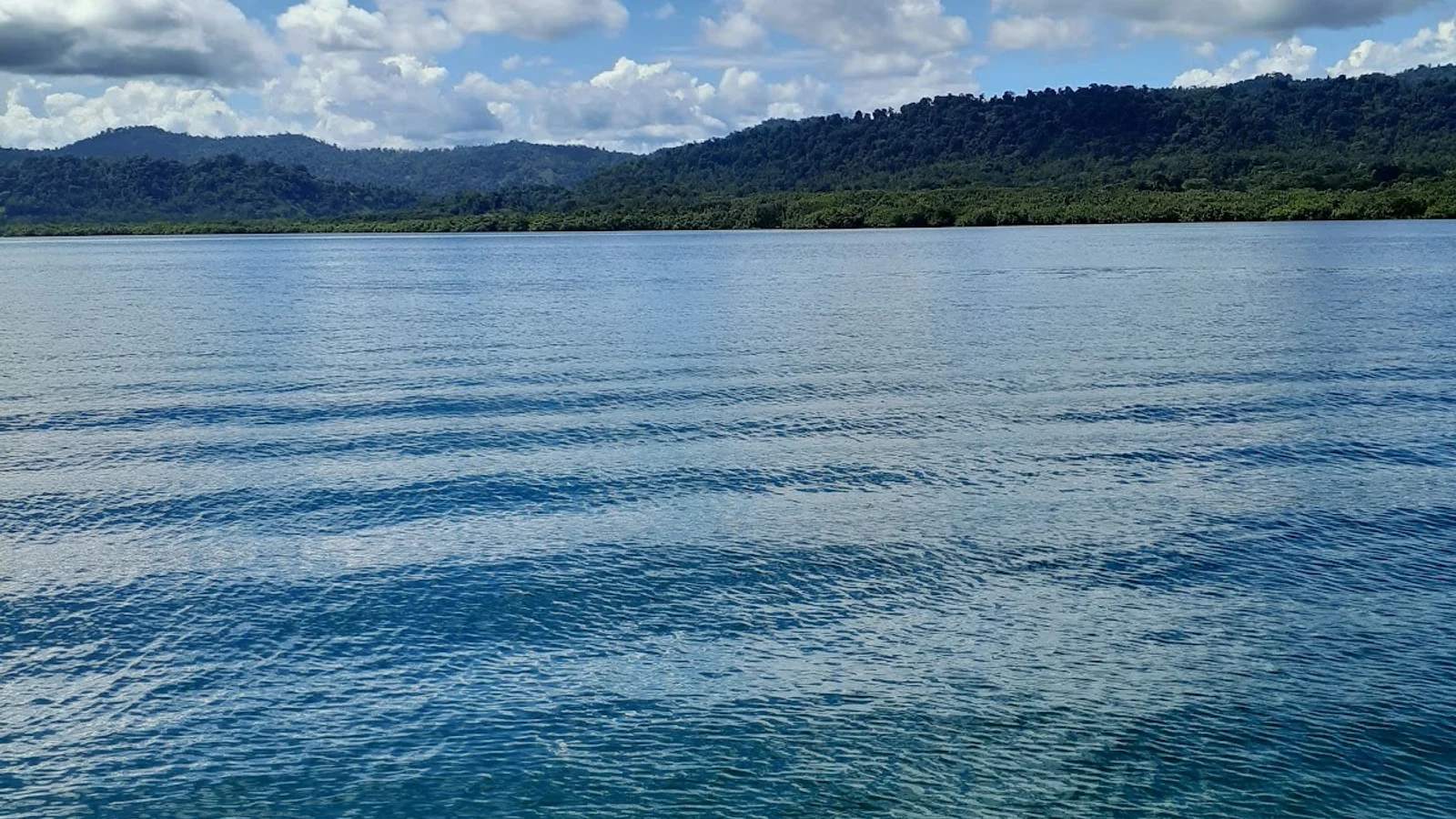 Bocas del Toro