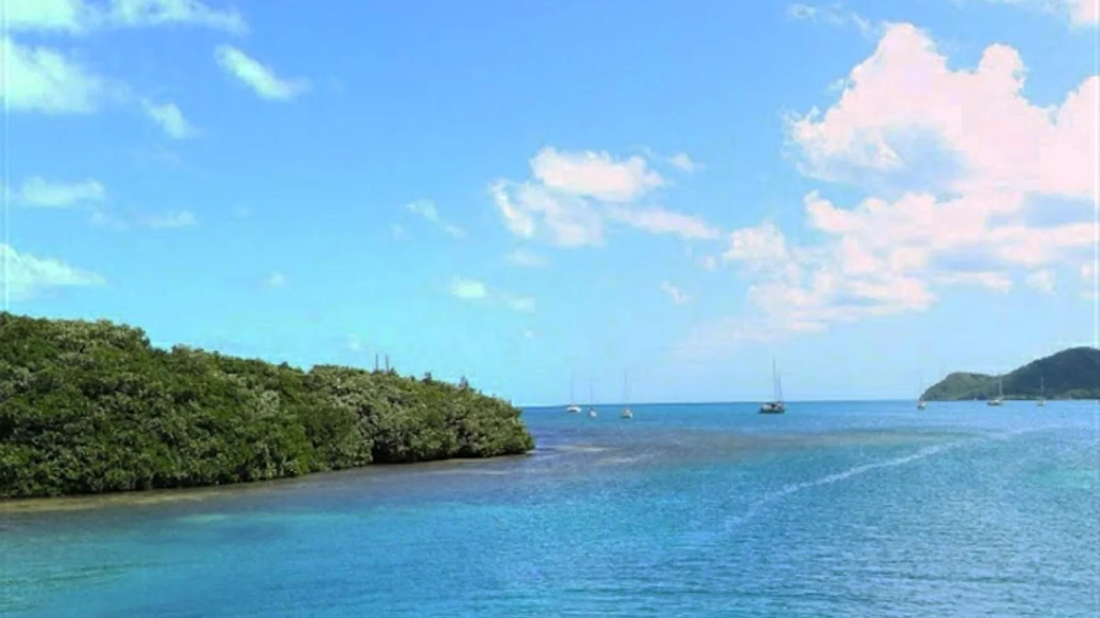 Bocas del Toro