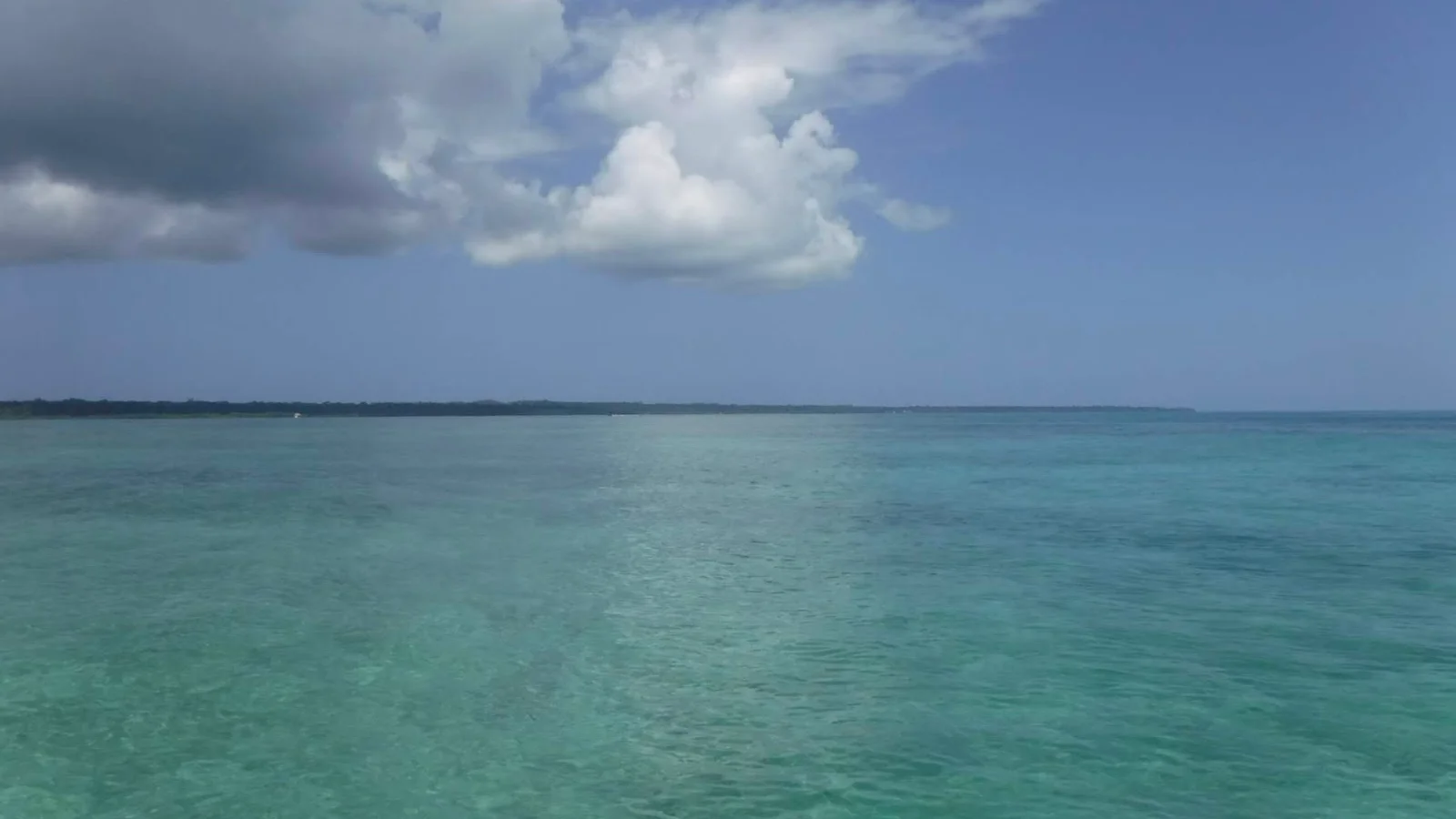Bocas del Toro