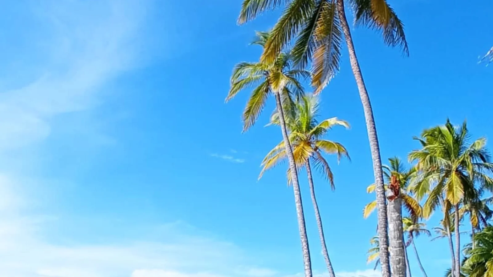 Islas San Blas