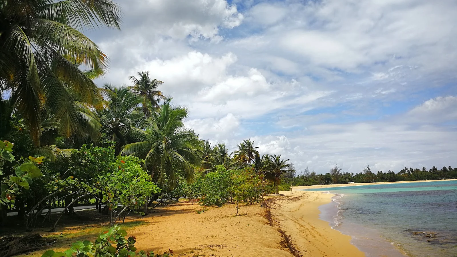 Las Terrenas