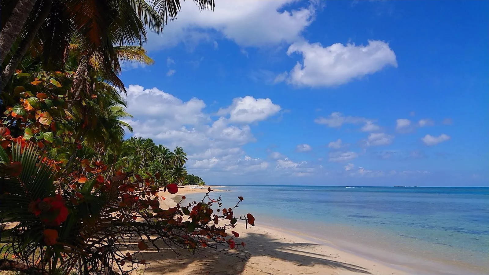 Las Terrenas